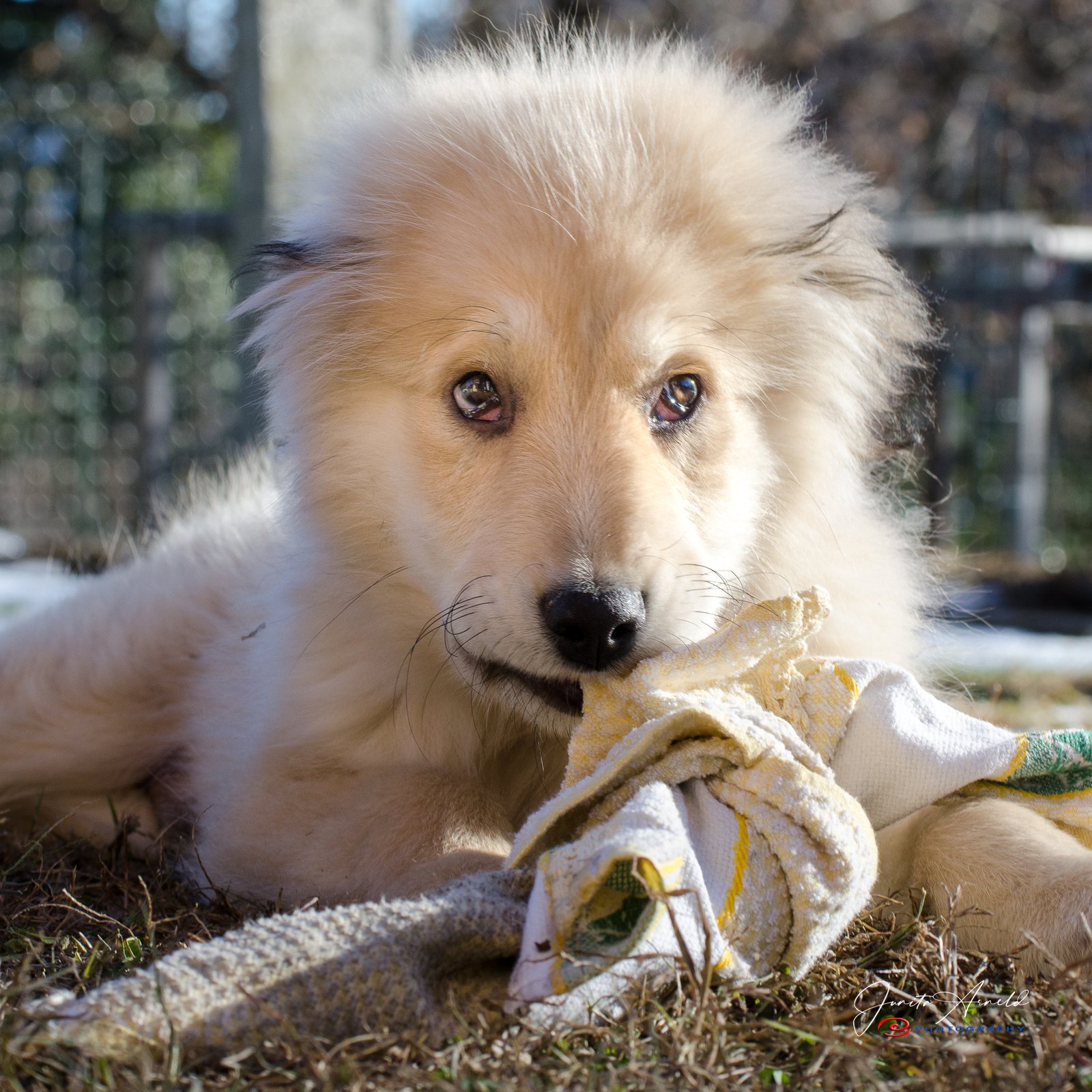 Coco giovane guarda verso la camera