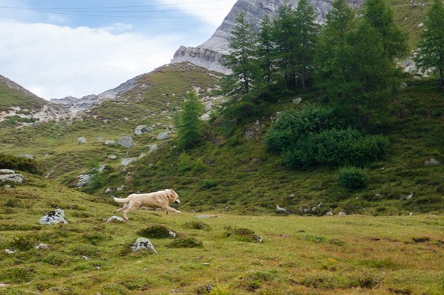 Pausa in montagna — Non una posa: semplicemente esserci.