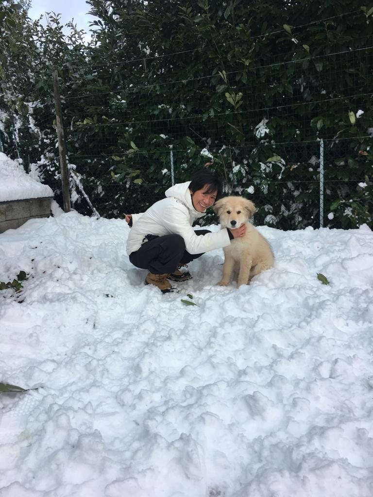 Gioco d’inverno — Neve, fiducia e un po’ di caos.