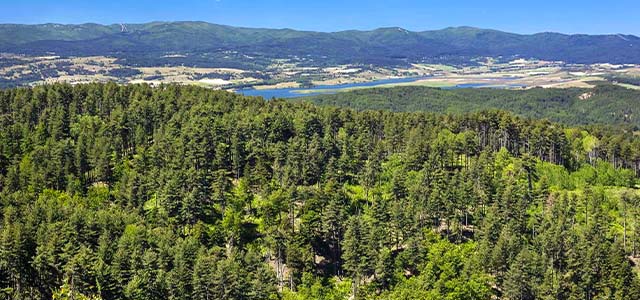 Forested landscape of the Sila plateau in Calabria with hills, woodland, and open highland terrain